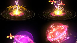 �w���B(y��ng)����